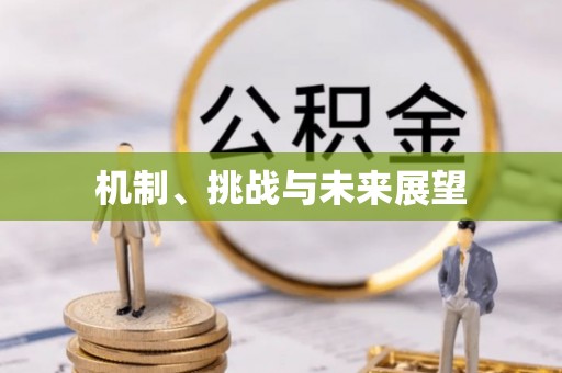 莘县机制、挑战与未来展望