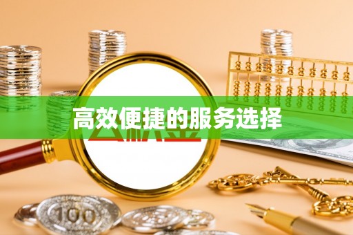 莘县高效便捷的服务选择