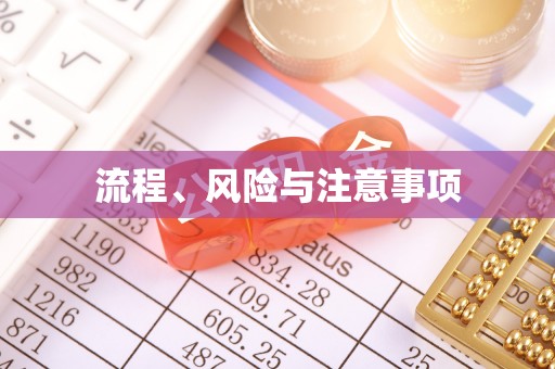 莘县流程、风险与注意事项