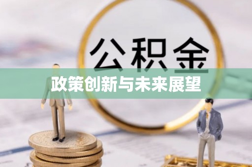 莘县政策创新与未来展望