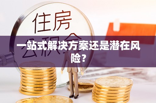 莘县一站式解决方案还是潜在风险？