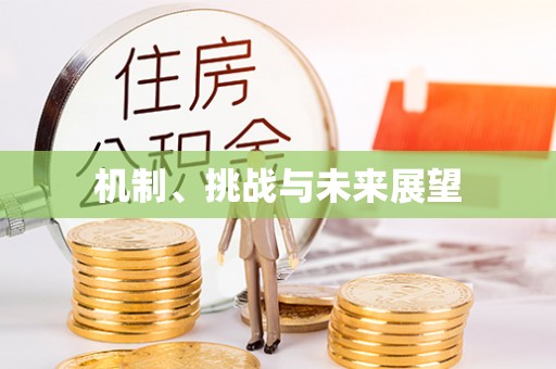莘县机制、挑战与未来展望